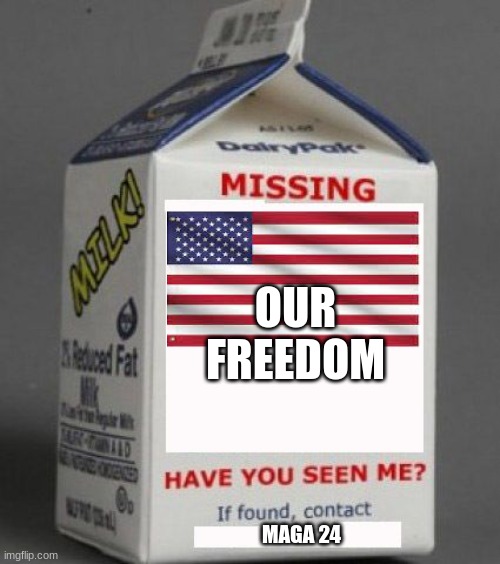 Our Freedom is at stake | OUR FREEDOM; MAGA 24 | image tagged in milk carton | made w/ Imgflip meme maker