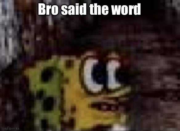 spunch bop trauma | Bro said the word | image tagged in spunch bop trauma | made w/ Imgflip meme maker