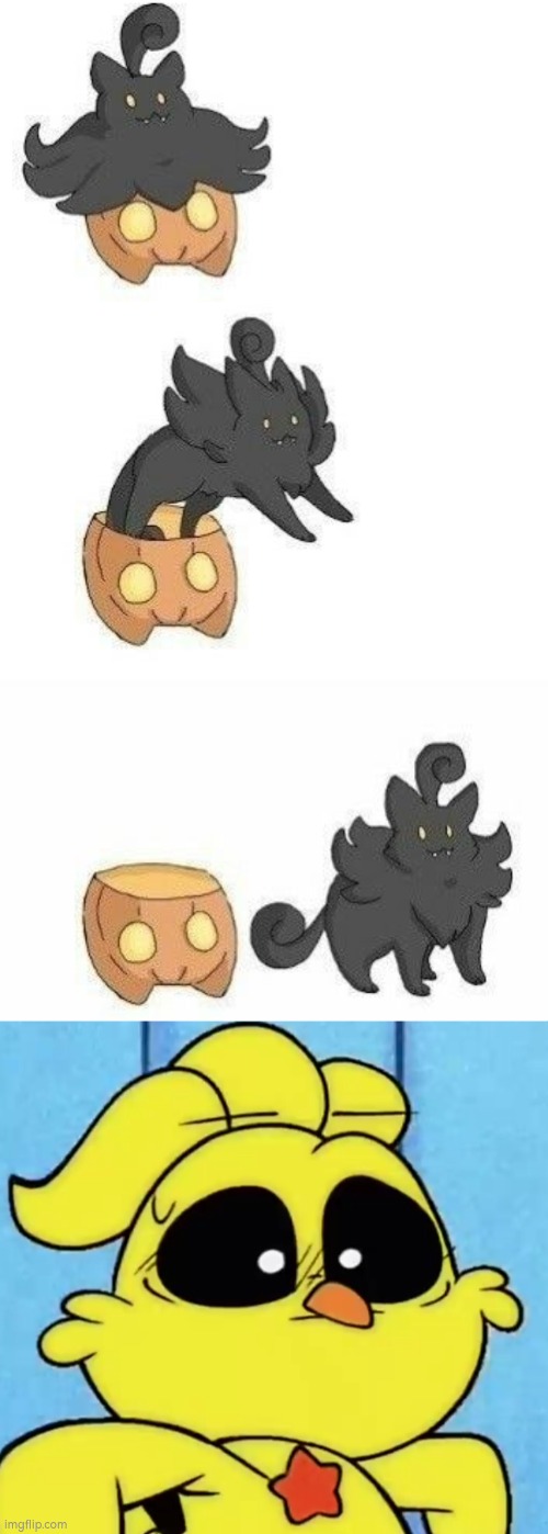 ...Okay. | image tagged in funny,pumpkaboo | made w/ Imgflip meme maker