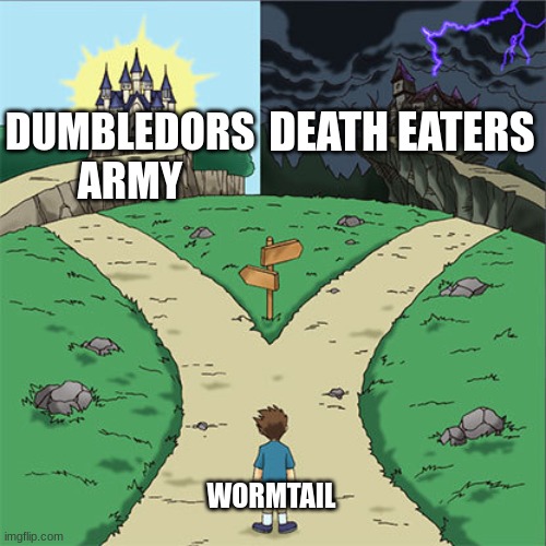 Two Paths | DEATH EATERS; DUMBLEDORS ARMY; WORMTAIL | image tagged in two paths | made w/ Imgflip meme maker