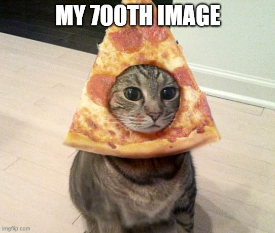 what already?! | MY 700TH IMAGE | image tagged in pizza cat | made w/ Imgflip meme maker