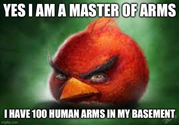 Realistic Red Angry Birds | YES I AM A MASTER OF ARMS; I HAVE 100 HUMAN ARMS IN MY BASEMENT | image tagged in realistic red angry birds | made w/ Imgflip meme maker
