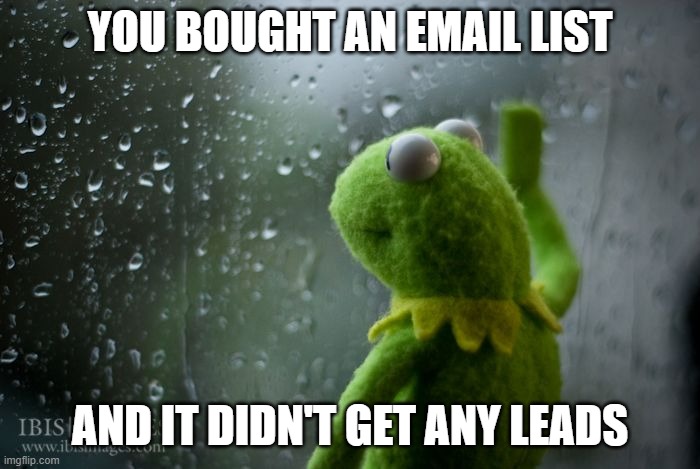 kermit window | YOU BOUGHT AN EMAIL LIST; AND IT DIDN'T GET ANY LEADS | image tagged in kermit window | made w/ Imgflip meme maker