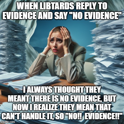 a person sitting at a desk with a pile of papers in front of the | WHEN LIBTARDS REPLY TO EVIDENCE AND SAY "NO EVIDENCE"; I ALWAYS THOUGHT THEY MEANT THERE IS NO EVIDENCE, BUT NOW I REALIZE THEY MEAN THAT CAN'T HANDLE IT, SO "NO!!  EVIDENCE!!" | image tagged in a person sitting at a desk with a pile of papers in front of the | made w/ Imgflip meme maker