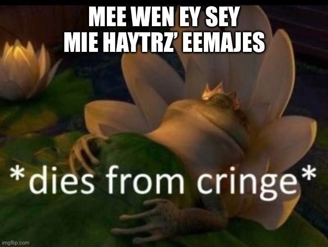 *dies of cringe* | MEE WEN EY SEY MIE HAYTRZ’ EEMAJES | image tagged in dies of cringe | made w/ Imgflip meme maker