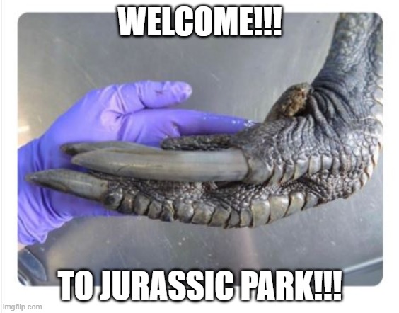 Shake a Dino Hand | WELCOME!!! TO JURASSIC PARK!!! | image tagged in dinosaur | made w/ Imgflip meme maker