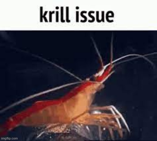krill issue | image tagged in krill issue | made w/ Imgflip meme maker