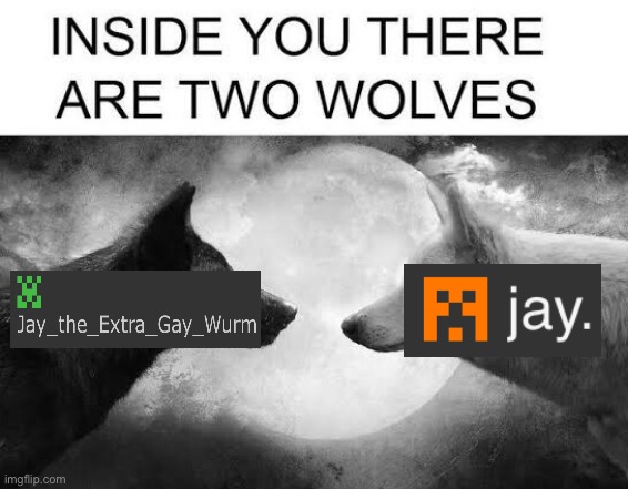 Two Jay’s. One is gay. The other is also gay. | image tagged in there are two wolves inside you | made w/ Imgflip meme maker