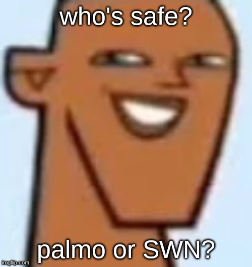 justin | who's safe? palmo or SWN? | image tagged in justin | made w/ Imgflip meme maker