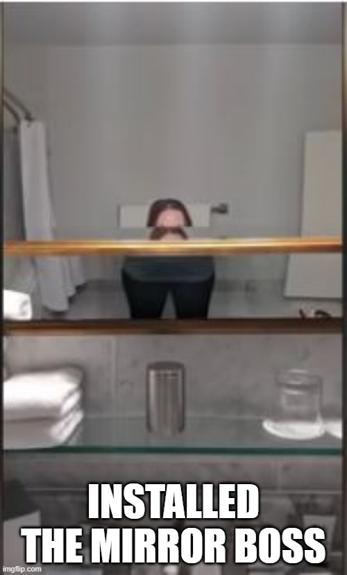 Mirror Mirror | INSTALLED THE MIRROR BOSS | image tagged in you had one job | made w/ Imgflip meme maker