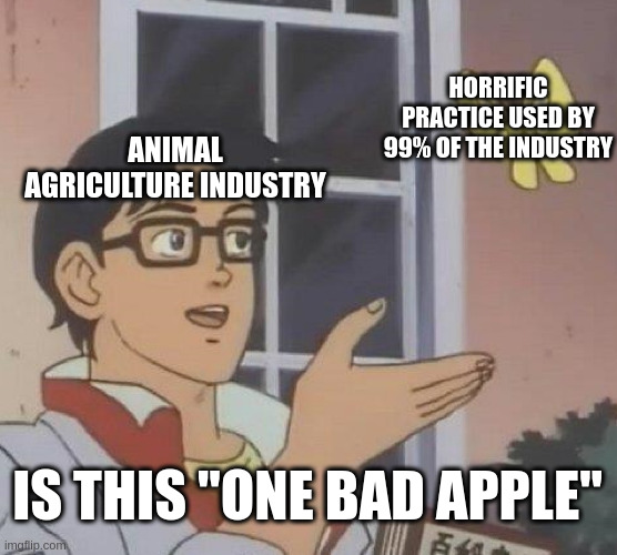 The "one bad apple" claims always ignore the many many many bad apples that exist | HORRIFIC PRACTICE USED BY 99% OF THE INDUSTRY; ANIMAL AGRICULTURE INDUSTRY; IS THIS "ONE BAD APPLE" | image tagged in memes,is this a pigeon,cruel,industrial,environment,animal rights | made w/ Imgflip meme maker