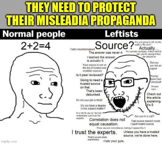 THEY NEED TO PROTECT THEIR MISLEADIA PROPAGANDA | made w/ Imgflip meme maker