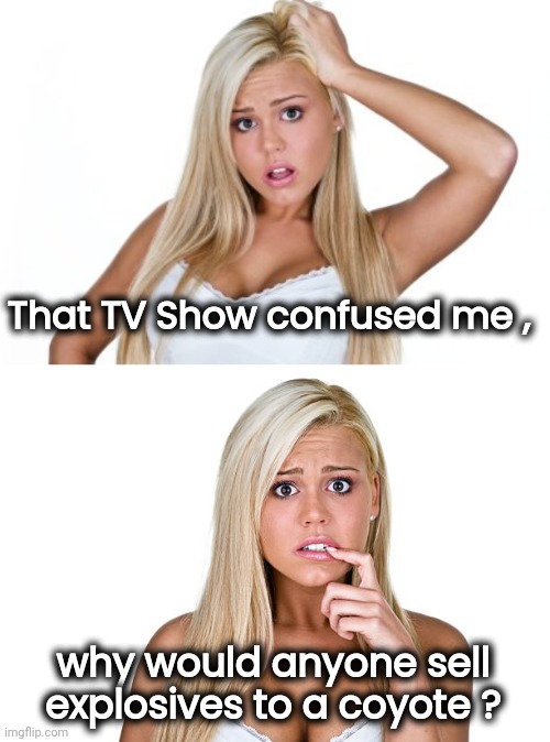 That TV Show confused me , why would anyone sell explosives to a coyote ? | image tagged in dumb blonde | made w/ Imgflip meme maker