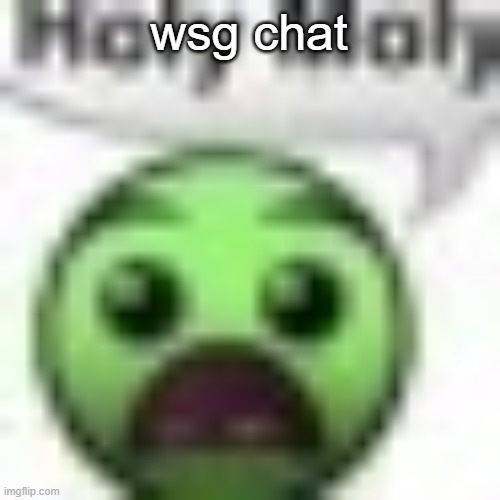 holy moly | wsg chat | image tagged in holy moly | made w/ Imgflip meme maker