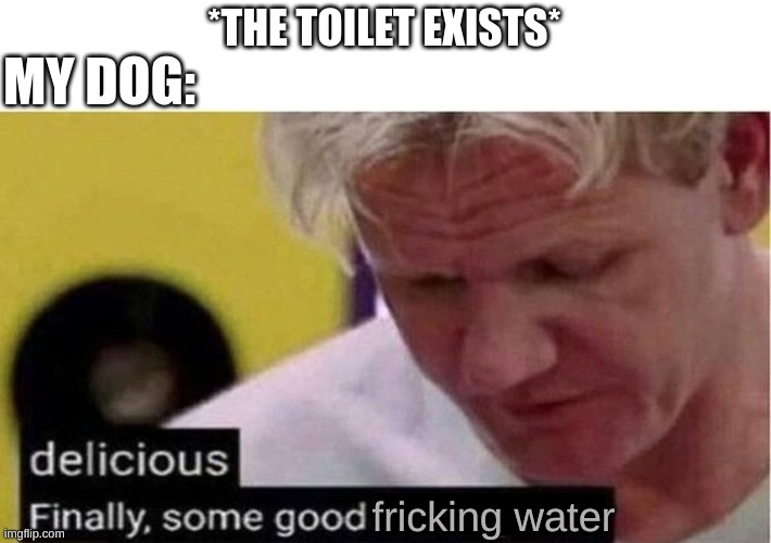 Does anyone else have this problem? | *THE TOILET EXISTS*; MY DOG:; fricking water | image tagged in gordon ramsay some good food,memes,funny,dog | made w/ Imgflip meme maker