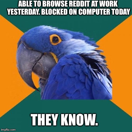 Paranoid Parrot Meme | ABLE TO BROWSE REDDIT AT WORK YESTERDAY. BLOCKED ON COMPUTER TODAY THEY KNOW. | image tagged in memes,paranoid parrot,AdviceAnimals | made w/ Imgflip meme maker