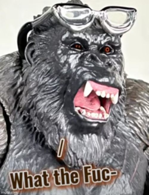 WTF.mp3 | image tagged in what the fuc- | made w/ Imgflip meme maker