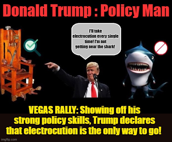 JUDGES TAKE HEED!!! | Donald Trump : Policy Man; I'll take electrocution every single time! I'm not getting near the shark! VEGAS RALLY: Showing off his strong policy skills, Trump declares that electrocution is the only way to go! | image tagged in electric chair,donald trump is an idiot,baby shark,maga | made w/ Imgflip meme maker