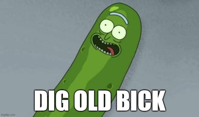 DIG OLD BICK | DIG OLD BICK | image tagged in pickle rick | made w/ Imgflip meme maker