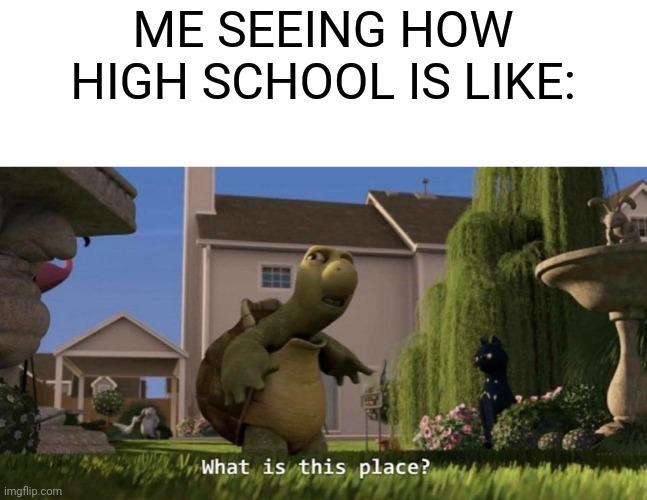 And this September I'll be there. | ME SEEING HOW HIGH SCHOOL IS LIKE: | image tagged in what is this place,high school,middle school | made w/ Imgflip meme maker