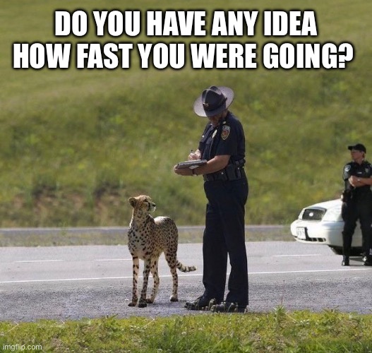 Do you have any idea how fast you were going? | DO YOU HAVE ANY IDEA HOW FAST YOU WERE GOING? | image tagged in cheetah,cops,police | made w/ Imgflip meme maker