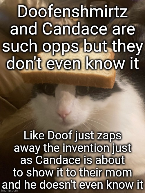 bread cat | Doofenshmirtz and Candace are such opps but they don't even know it; Like Doof just zaps away the invention just as Candace is about to show it to their mom and he doesn't even know it | image tagged in bread cat | made w/ Imgflip meme maker