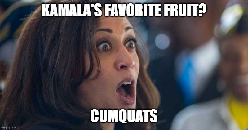 Oh yeah. | KAMALA'S FAVORITE FRUIT? CUMQUATS | image tagged in politics,funny memes,kamala harris,government corruption | made w/ Imgflip meme maker