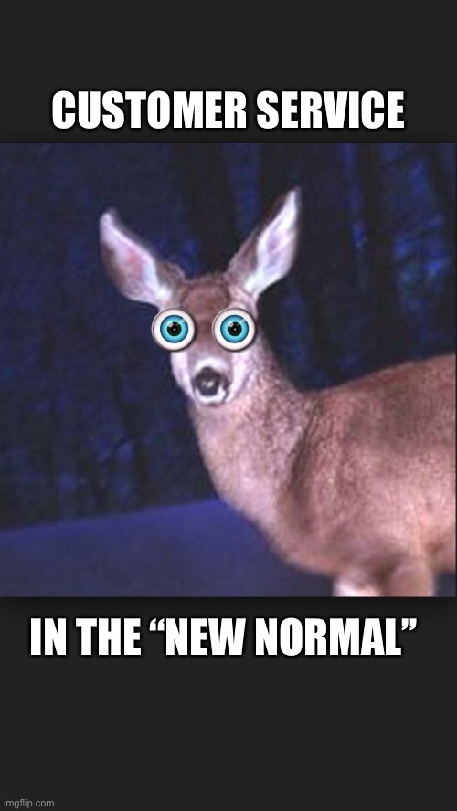 Customer Service Today | CUSTOMER SERVICE; IN THE “NEW NORMAL” | image tagged in deer in headlights,customer service,millennials,generation z,customers | made w/ Imgflip meme maker