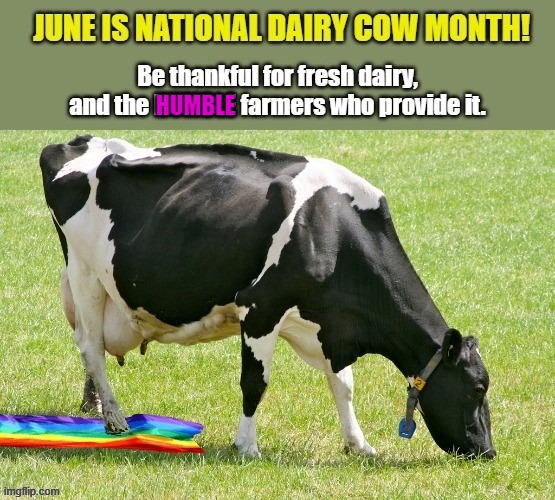 Pride is nothing to be proud of. | HUMBLE | image tagged in pride month,cows,morality,farmers,june | made w/ Imgflip meme maker