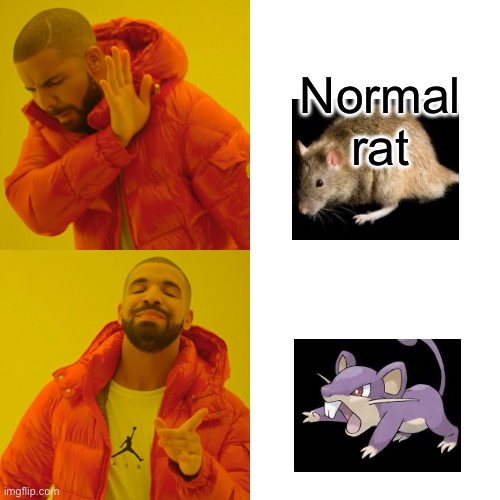 Drake Hotline Bling Meme | Normal rat; Normal rat | image tagged in memes,drake hotline bling | made w/ Imgflip meme maker