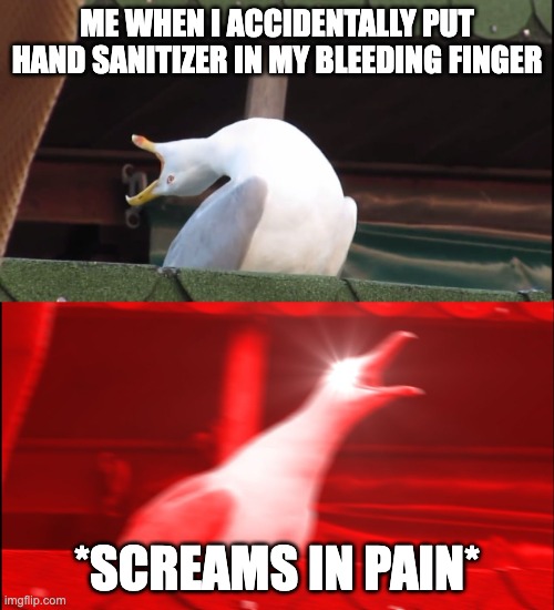 relatable | ME WHEN I ACCIDENTALLY PUT HAND SANITIZER IN MY BLEEDING FINGER; *SCREAMS IN PAIN* | image tagged in screaming bird | made w/ Imgflip meme maker