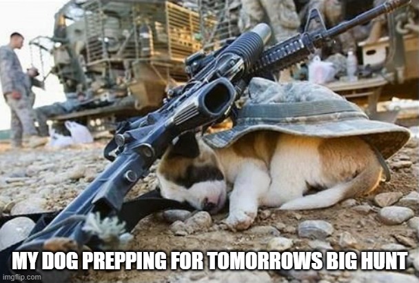 memes by Brad - my dog prepping for tomorrows hunt - humor | MY DOG PREPPING FOR TOMORROWS BIG HUNT | image tagged in funny,sports,hunting,dogs,tired dog,humor | made w/ Imgflip meme maker