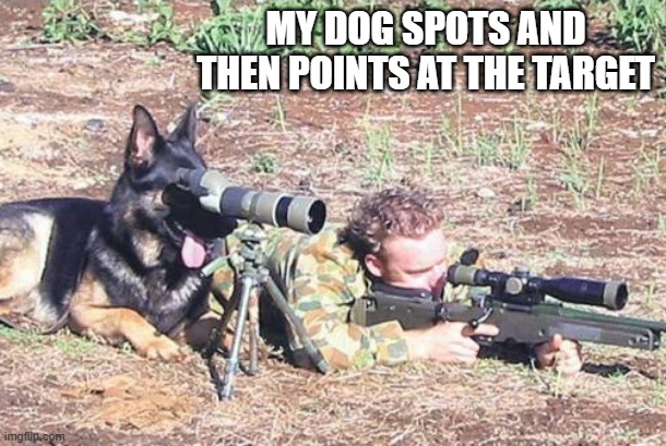 memes by Brad - my dog spots and then points to my target - humor | MY DOG SPOTS AND THEN POINTS AT THE TARGET | image tagged in sports,funny,dog memes,funny meme,humor | made w/ Imgflip meme maker