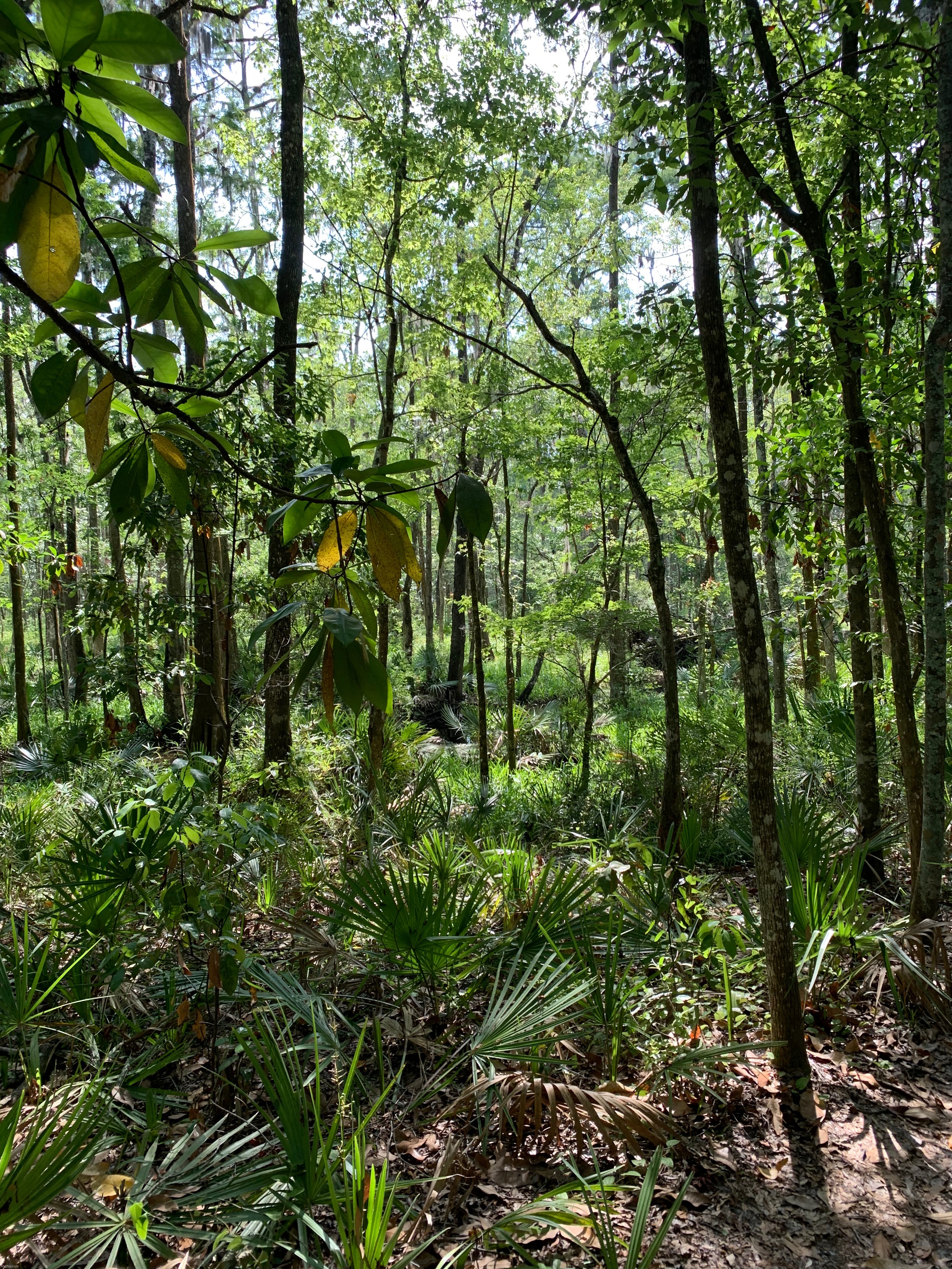 Rural Florida really is a cool place | made w/ Imgflip meme maker