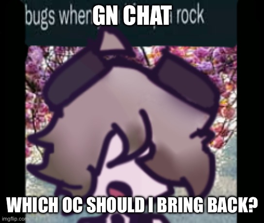 The silly | GN CHAT; WHICH OC SHOULD I BRING BACK? | image tagged in the silly | made w/ Imgflip meme maker