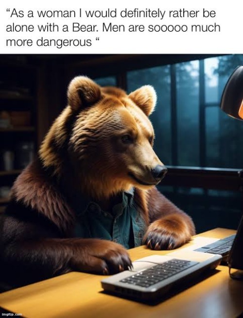 Yes | image tagged in bear,memes | made w/ Imgflip meme maker
