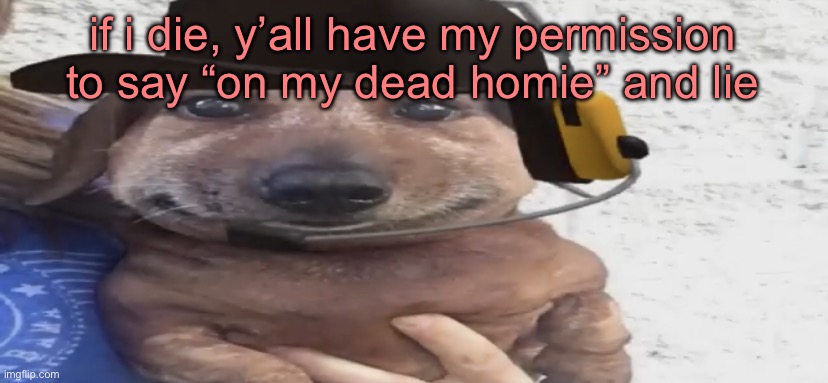 chucklenuts | if i die, y’all have my permission to say “on my dead homie” and lie | image tagged in chucklenuts | made w/ Imgflip meme maker