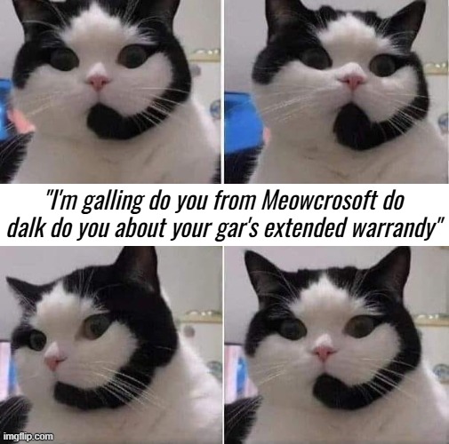 "I'm galling do you from Meowcrosoft do dalk do you about your gar's extended warrandy" | image tagged in funny,funny animals | made w/ Imgflip meme maker