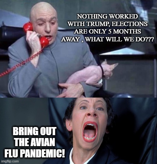 Dr Evil and Frau | NOTHING WORKED WITH TRUMP, ELECTIONS ARE ONLY 5 MONTHS AWAY , WHAT WILL WE DO??? BRING OUT THE AVIAN FLU PANDEMIC! | image tagged in dr evil and frau | made w/ Imgflip meme maker