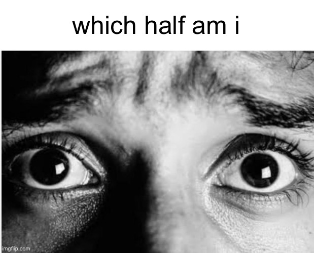 Unnerved Stare | which half am i | image tagged in unnerved stare | made w/ Imgflip meme maker