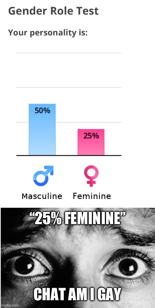 ☠️ | “25% FEMININE”; CHAT AM I GAY | image tagged in unnerved stare | made w/ Imgflip meme maker