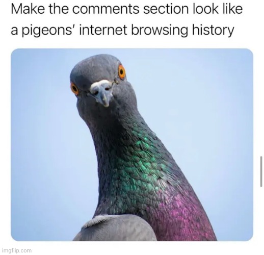 Make it funni | made w/ Imgflip meme maker