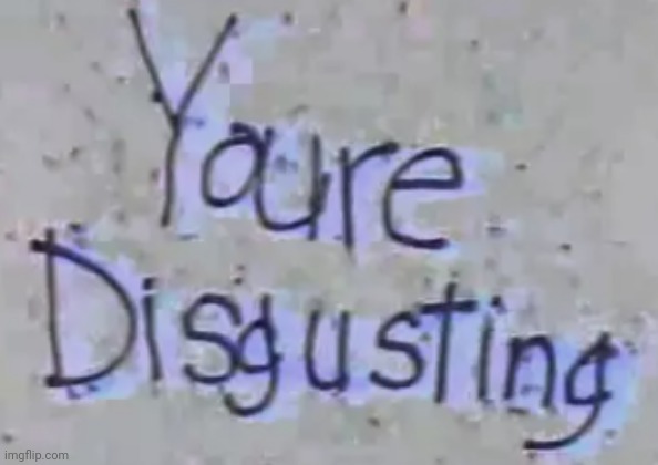Youre Disgusting | image tagged in youre disgusting | made w/ Imgflip meme maker