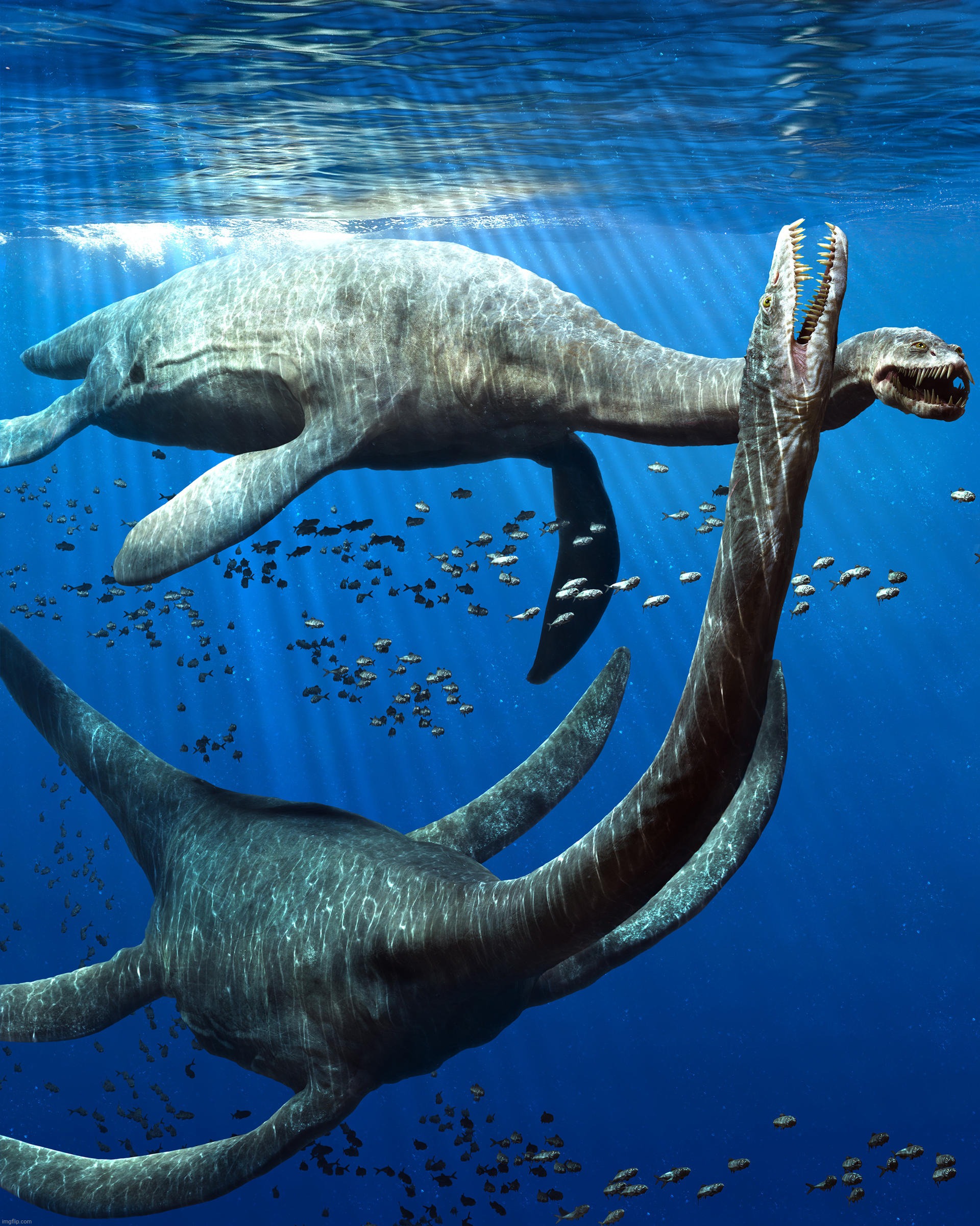 Styxosaurus, plesiosaur | image tagged in styxosaurus,plesiosaur,elasmosauridae,reptile,prehistoric reptile | made w/ Imgflip meme maker