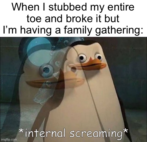 :D (totally not in excruciating pain) | When I stubbed my entire toe and broke it but I’m having a family gathering: | image tagged in private internal screaming | made w/ Imgflip meme maker
