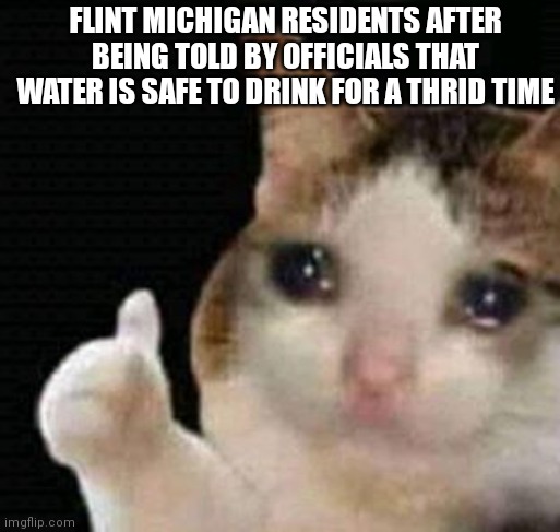 sad thumbs up cat | FLINT MICHIGAN RESIDENTS AFTER BEING TOLD BY OFFICIALS THAT WATER IS SAFE TO DRINK FOR A THRID TIME | image tagged in sad thumbs up cat | made w/ Imgflip meme maker