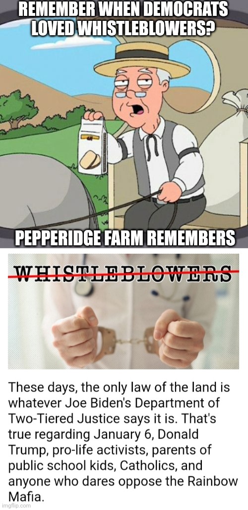 Not Anymore... | REMEMBER WHEN DEMOCRATS LOVED WHISTLEBLOWERS? PEPPERIDGE FARM REMEMBERS | image tagged in lying,criminal,democratic socialism,dirty,traitors | made w/ Imgflip meme maker