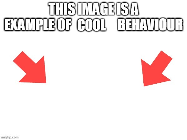 This image is a example of cool behaviour Blank Meme Template