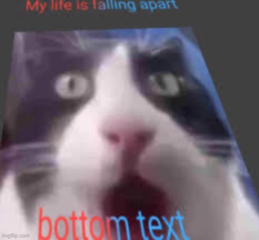 made w/ Imgflip meme maker