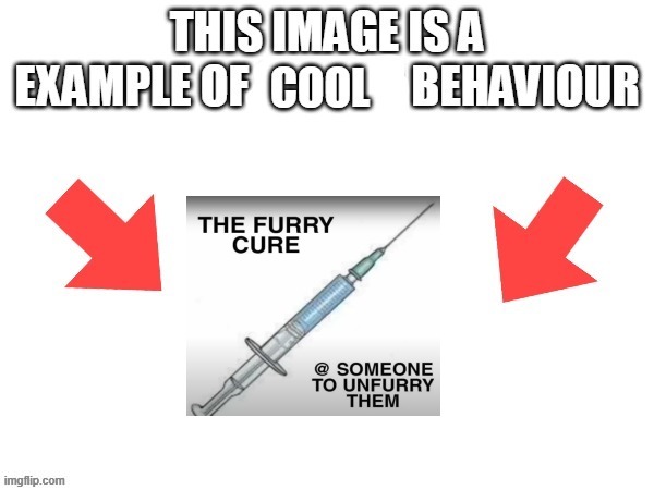 image tagged in this image is a example of cool behaviour | made w/ Imgflip meme maker